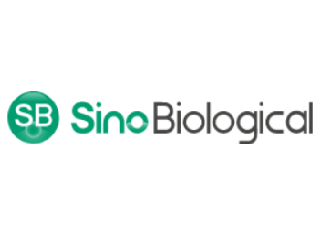 ABUIABAEGAAg5-3xywYo_YfG6AUwigU41AM