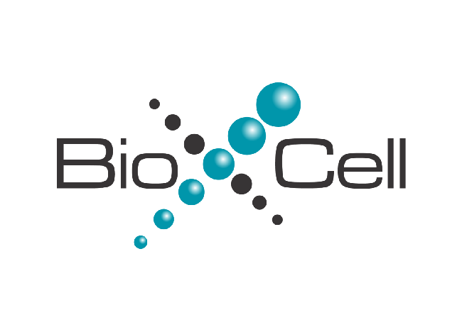 ABUIABAEGAAgiP3xywYow8y7hwUwigU41AM